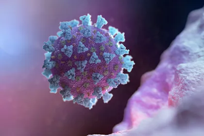 Pic Ba8ece5e93de8c96109c16bef4bd25da