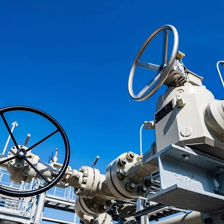 Foto No Exif 2023 08 14T231035.345